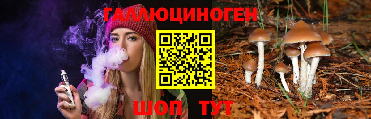 Елизово  Псилоцибиновые грибы Psilocybe  купить  цена  Вход с VPN 